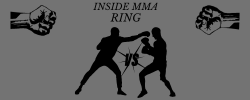 Inside MMA Ring